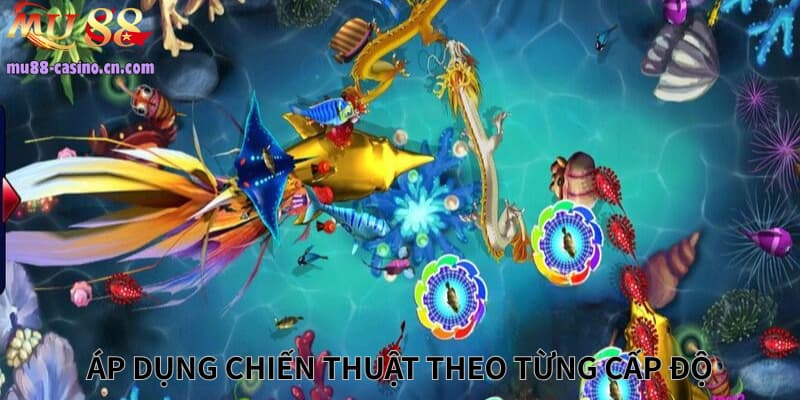 Áp dụng chiến thuật theo từng cấp độ