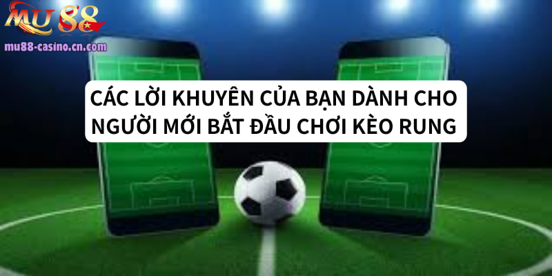 Các Lời Khuyên Của Bạn Dành Cho Người Chơi Kèo Rung Mới Bắt Đầu