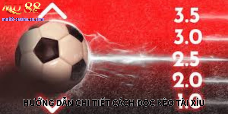 Hướng Dẫn Chi Tiết Cách Đọc Kèo Tài Xỉu Dễ Hiểu