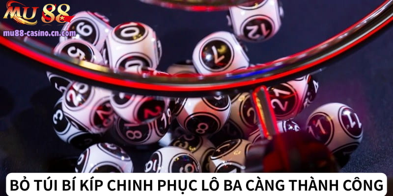 Bỏ Túi Bí Kíp Chinh Phục Lô Ba Càng Thành Công