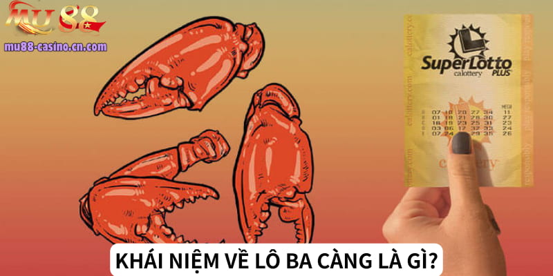 Khái Niệm Về Lô Ba Càng Là Gì?