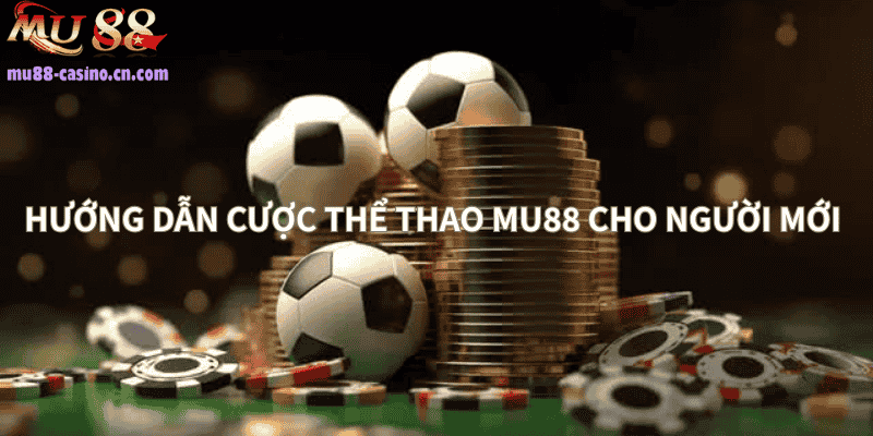 Hướng Dẫn Cược Thể Thao Cho Người Mới